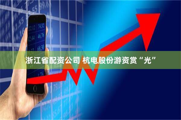 浙江省配资公司 杭电股份游资赏“光”